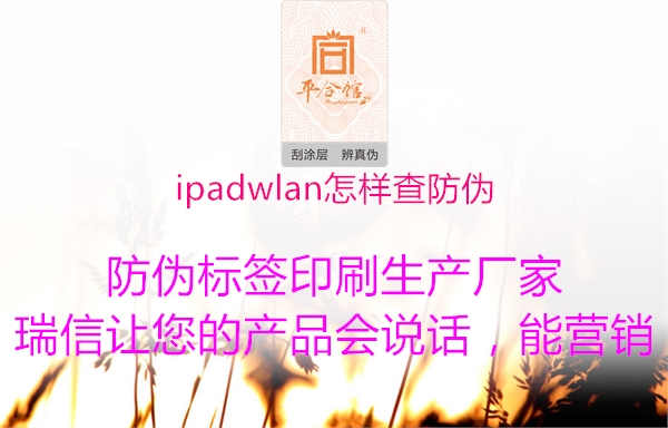 ipadwlan怎样查防伪2.jpg