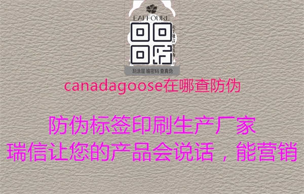 canadagoose在哪查防伪1.jpg